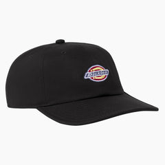Low Pro Logo Dad Hat - Dickies
